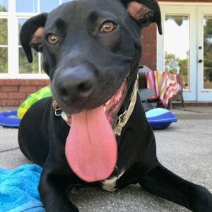 Meet your Posher, Margaret